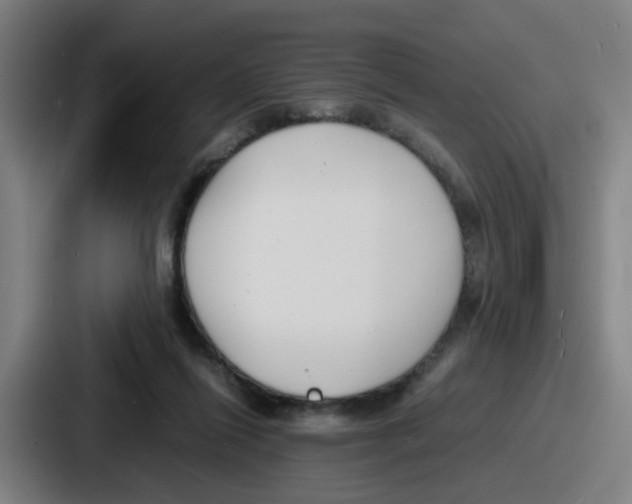 X0000086910262200705141708