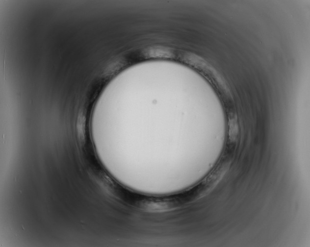 X0000086910263200705141708