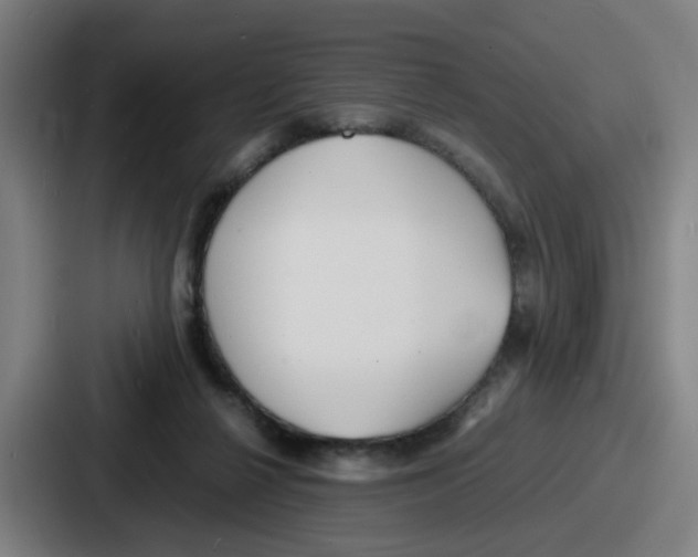 X0000086910264200705141708