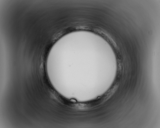 X0000086910265200705141708