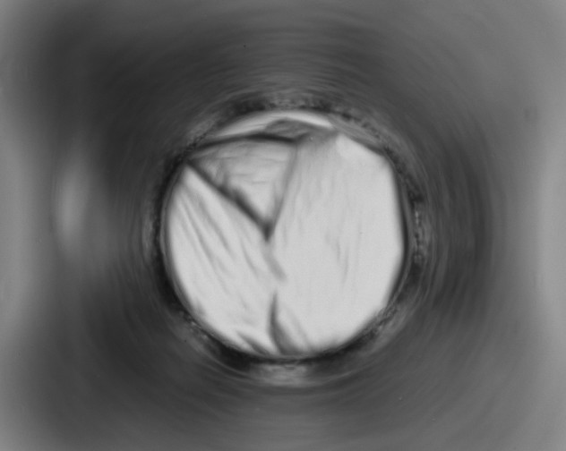 X0000086910266200705141708