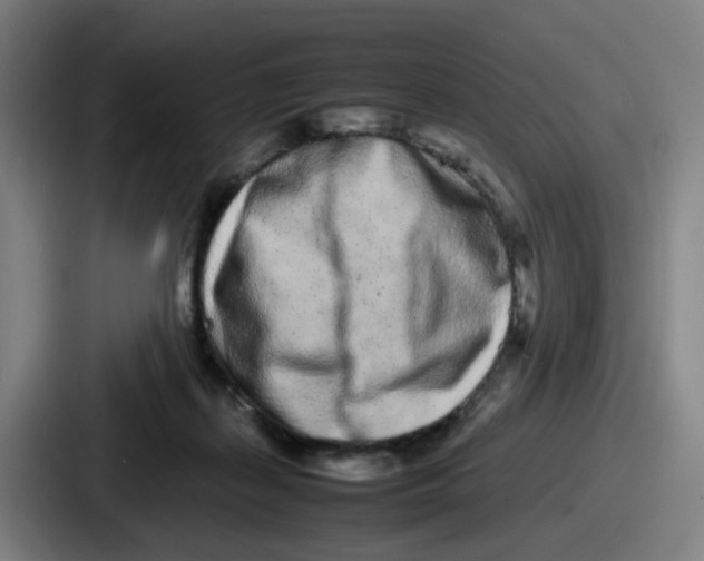 X0000086910267200705141708