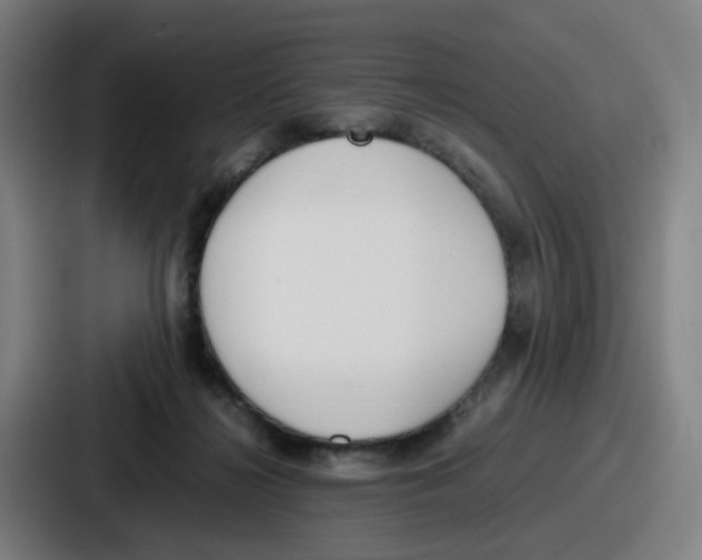 X0000086910268200705141708