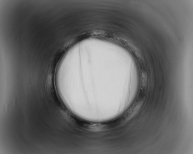 X0000086910269200705141708