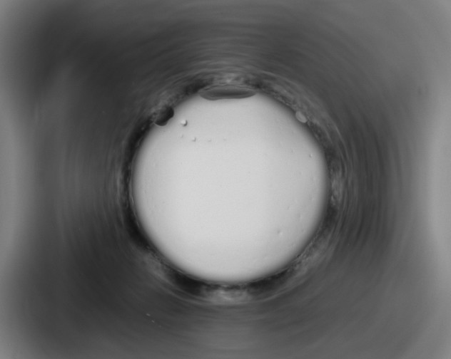 X0000086910270200705141708