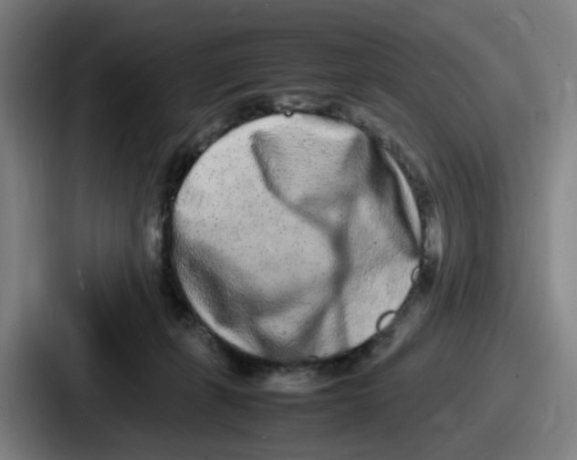 X0000086910271200705141708