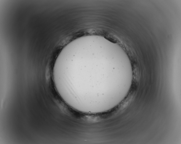 X0000086910272200705141708