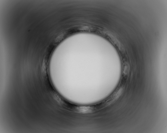 X0000086910273200705141708