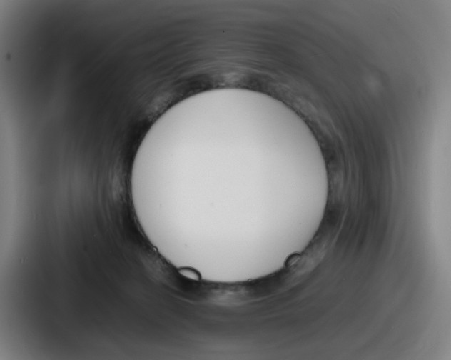 X0000086910274200705141708