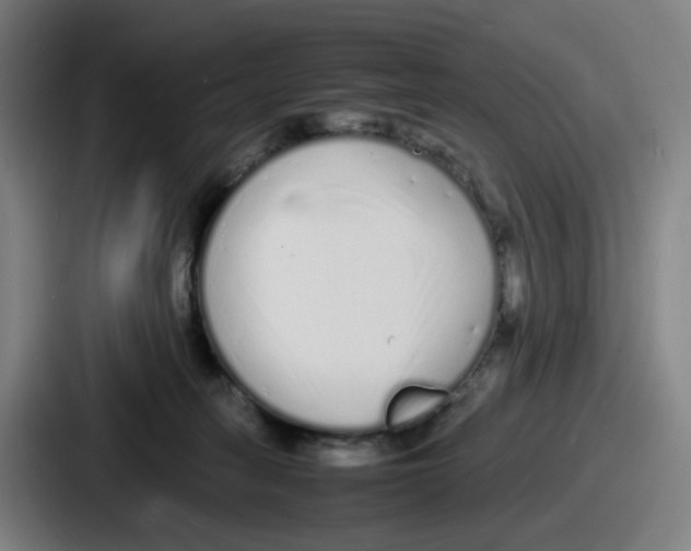 X0000086910275200705141708