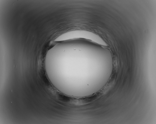 X0000086910276200705141708