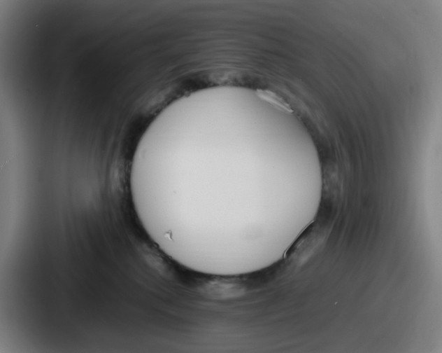 X0000086910280200705141708