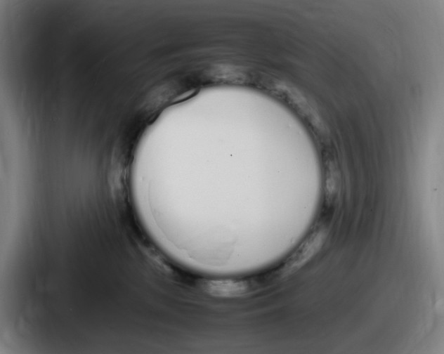 X0000086910281200705141708