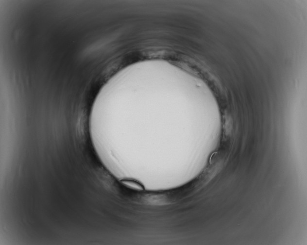 X0000086910283200705141708