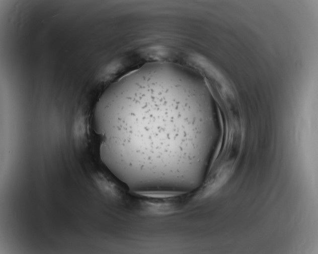 X0000086910284200705141708