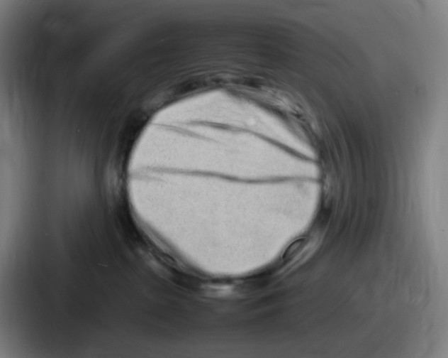 X0000086910285200705141708