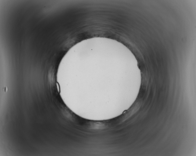 X0000086910287200705141708