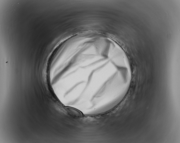 X0000086910290200705141708