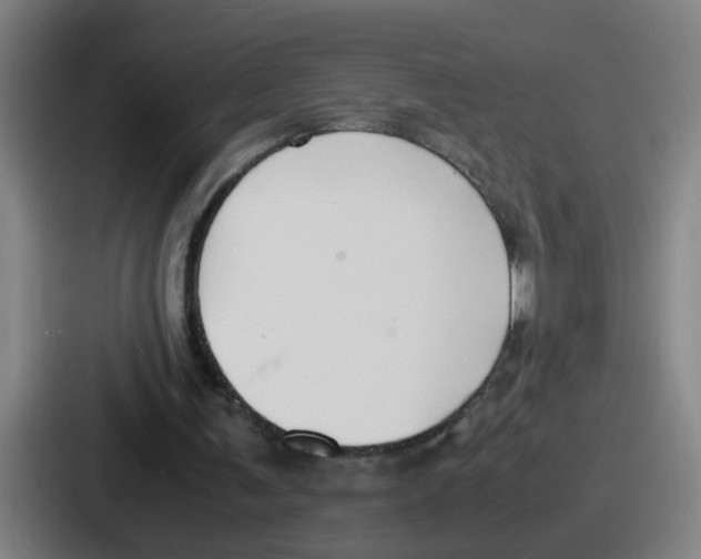 X0000086910291200705141708