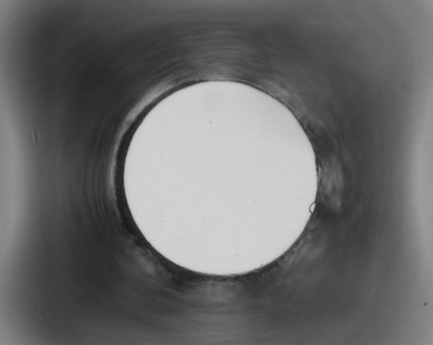 X0000086910292200705141708