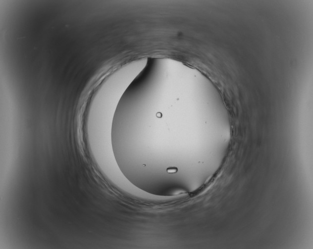 X0000086910293200705141708