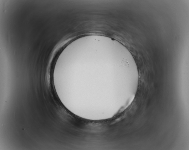 X0000086910294200705141708