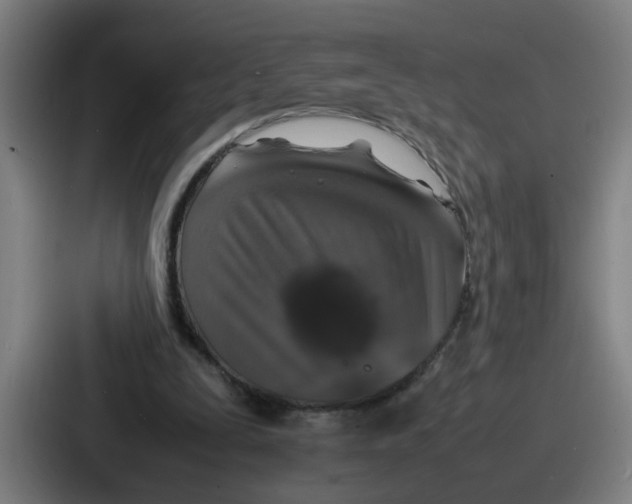 X0000086910295200705141708