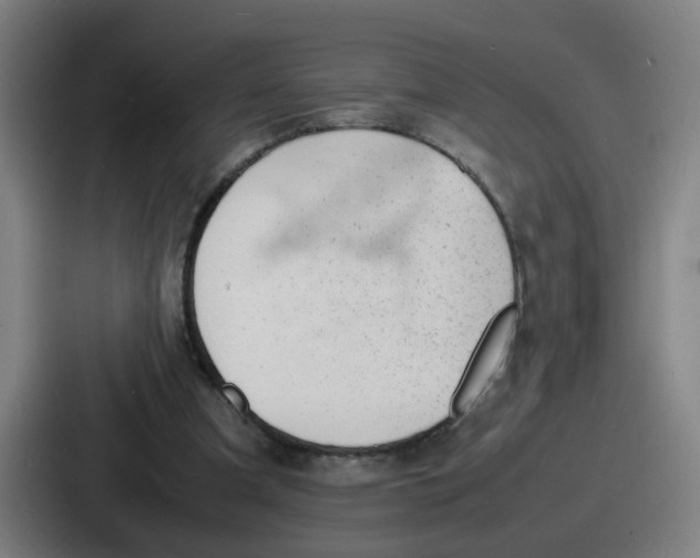 X0000086910297200705141708