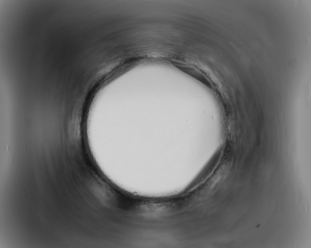 X0000086910299200705141708