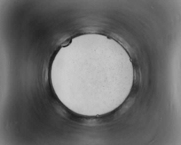 X0000086910301200705141708