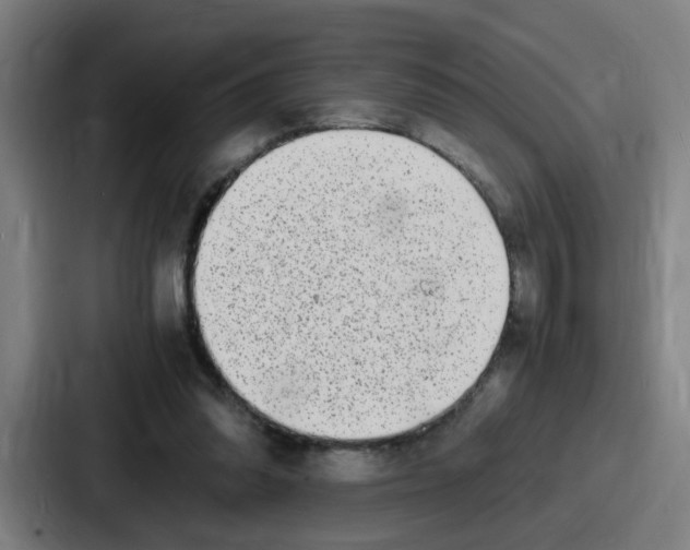 X0000086910302200705141708