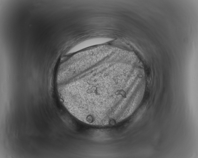 X0000086910303200705141708