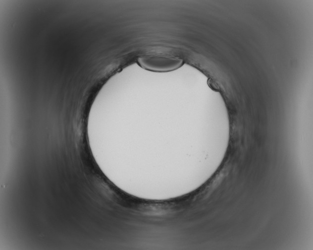 X0000086910305200705141708