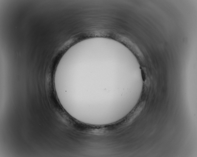 X0000086910306200705141708