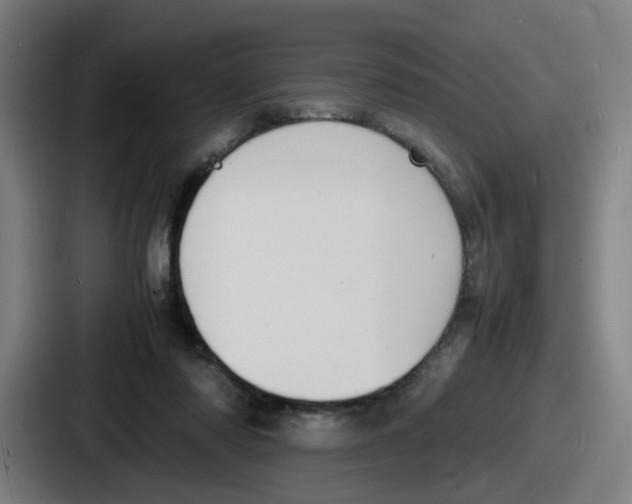 X0000086910310200705141708