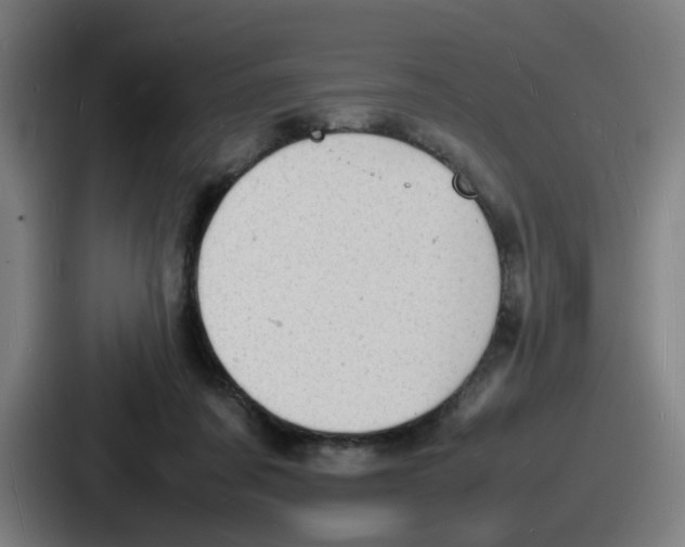 X0000086910311200705141708