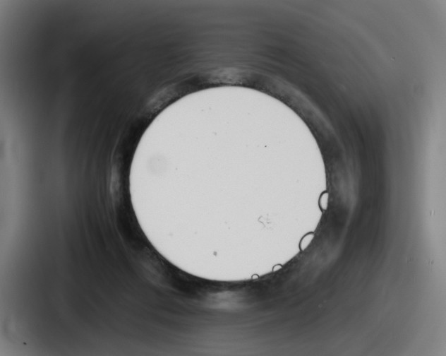 X0000086910312200705141708