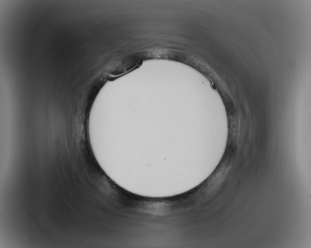 X0000086910313200705141707