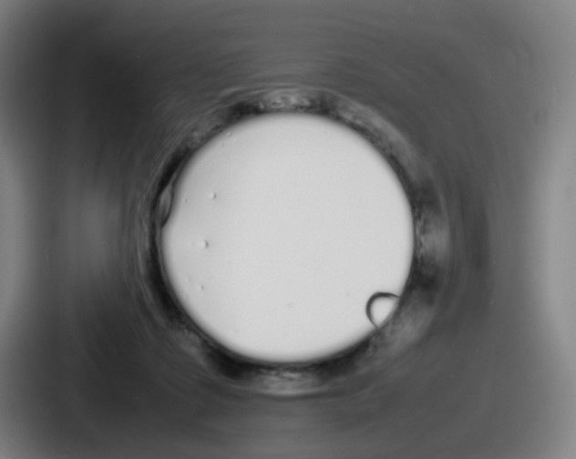 X0000086910315200705141707