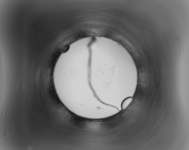 X0000086910318200705141707