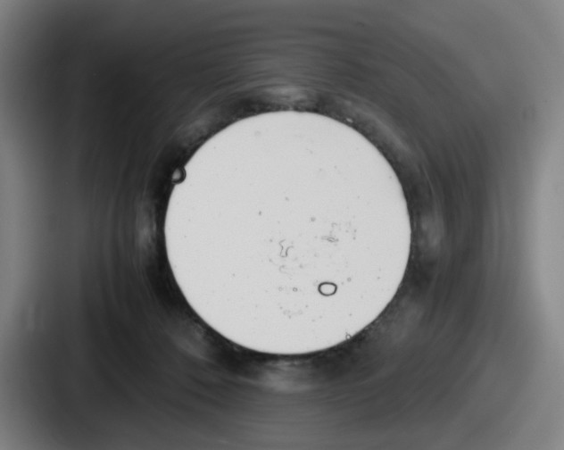 X0000086910320200705141707