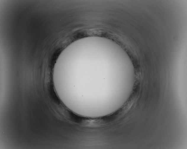 X0000086910323200705141707