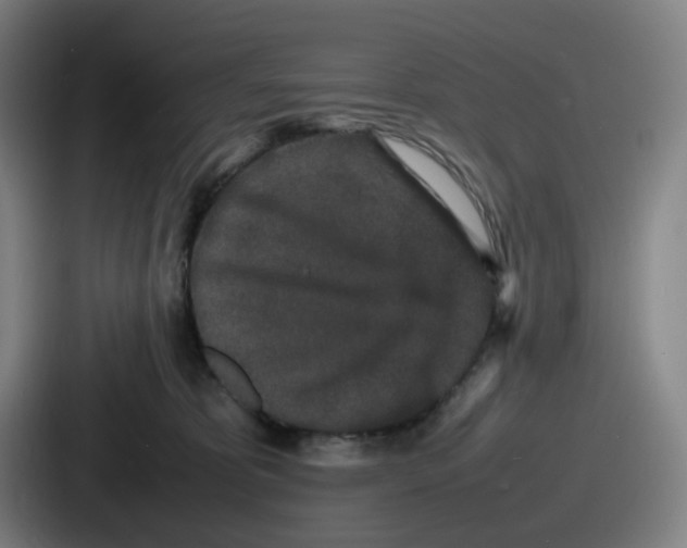 X0000086910325200705141707