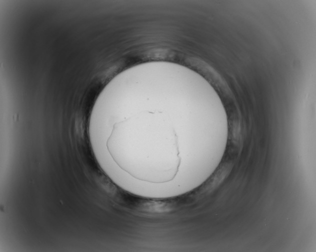 X0000086910326200705141707