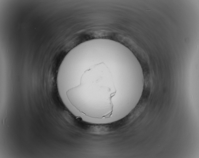 X0000086910327200705141707