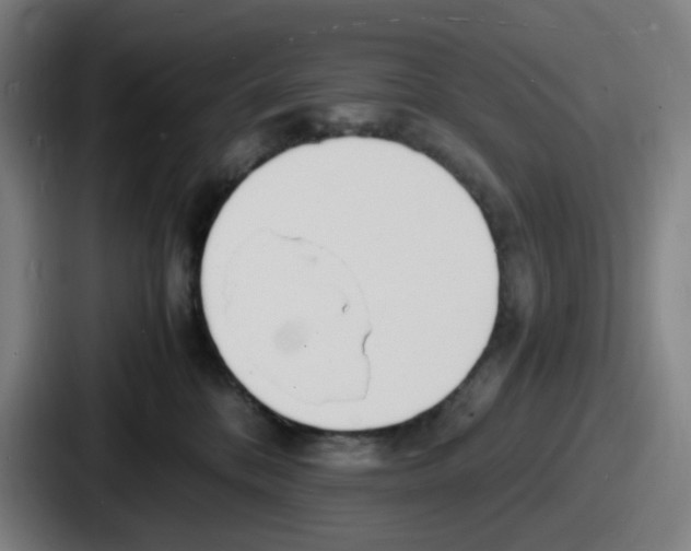 X0000086910328200705141707