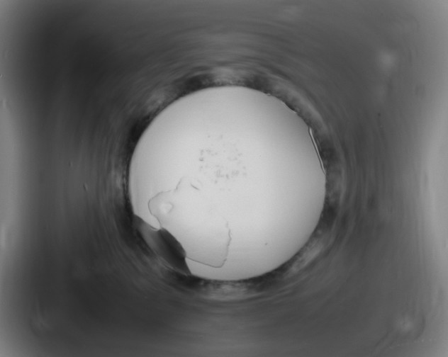 X0000086910329200705141707