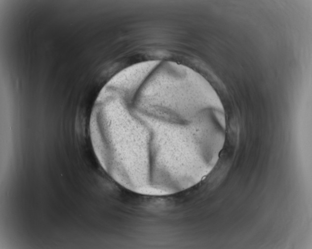 X0000086910330200705141707