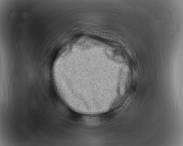 X0000086910331200705141707