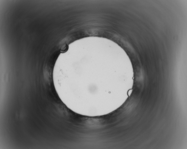 X0000086910332200705141707